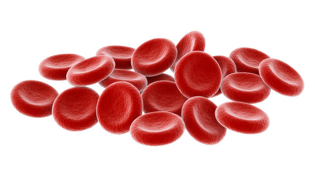 Pile of red blood cells, isolated on transparent background