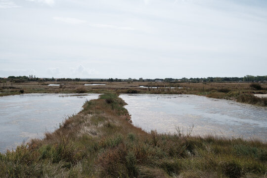 swamp, marais salants, Vend&eacute;e, 