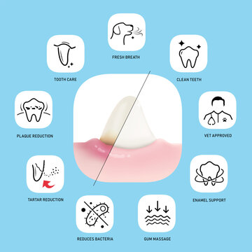 Dog's tooth and gum mockup before and after dental care with dog dental care icon set. 3D hight realistic vector illustration with vector outline icons. EPS10.