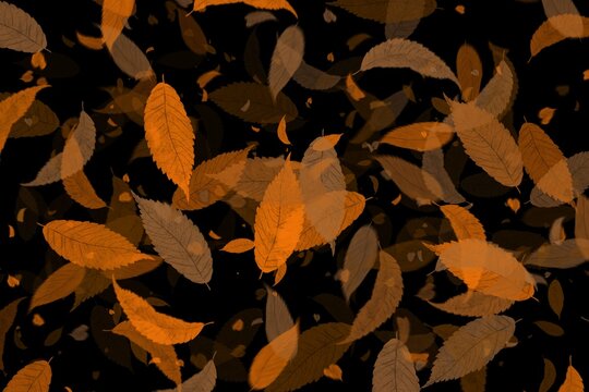 autumn leaves background