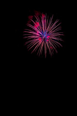 Fototapeta premium Vibrant fireworks in the night sky, Vienna, Austria