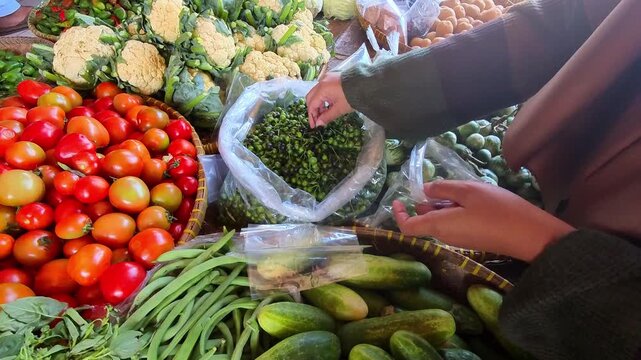 Video of Vendor packs fresh green turkey berries or pea eggplant in plastic bag. Red tomatoes and cucumbers surround the display. Woman's hands carefully handle produce at market stall. Vibrant colors