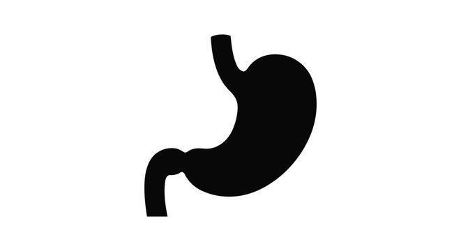 Human stomach anatomy illustration a black silhouette