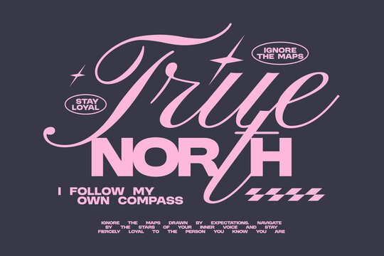 Aesthetic typography quote for t-shirt print, Lettering t-shirt design, Motivation quotes, poster design, Modern retro style, Vector art graphic tees clothing brand. True north
