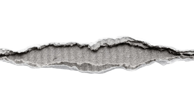 Torn corrugated cardboard paper edge with rough texture, isolated on transparent background