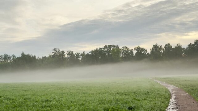 A winding path runs through a misty green field toward distant trees in Pushkin, Saint Petersburg. The foggy landscape creates a peaceful, lonely feeling of quiet reflection.