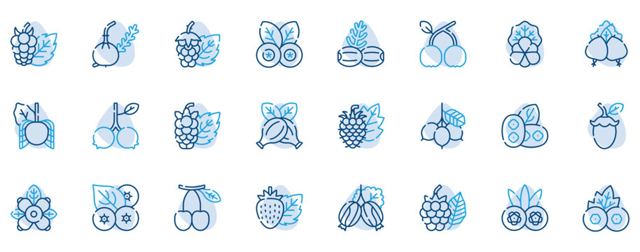 Berries Editable Stroke Line Icons Set. Strawberry, Blueberry, Raspberry, Blackberry Vector Illustration