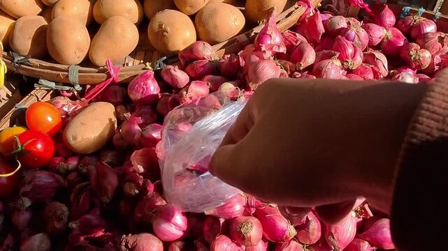 POV Video of Hand selects vibrant red shallots at bustling market stall. Sunlight glints off fresh produce piled high. Natural colors pop against wooden crates. Market scene captures simple, daily 