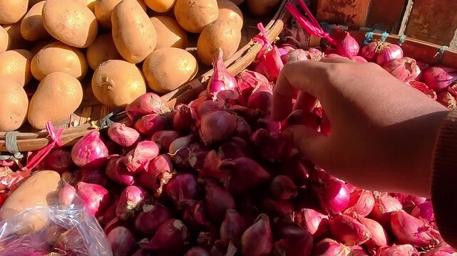 POV Video of Hand selects vibrant red shallots at bustling market stall. Sunlight glints off fresh produce piled high. Natural colors pop against wooden crates. Market scene captures simple, daily 