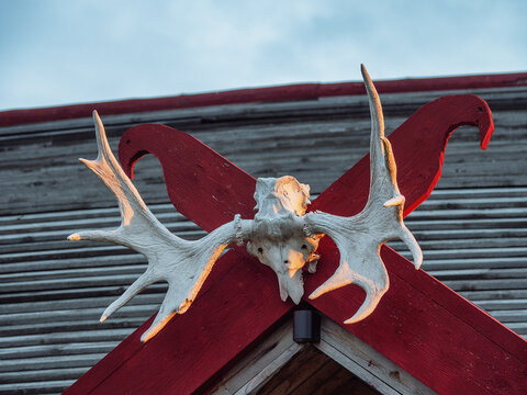 Historical Park &ldquo;Bastion&rdquo;, Sortavala, Karelia: a deer skull above the entrance to the &ldquo;Earl&rsquo;s House&rdquo;.