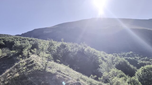 Paesaggio illuminato dal sole controluce, con una fitta vegetazione verde e pendii montani sullo sfondo