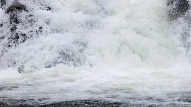 Salmon trying to jump up a large waterfall in slow motion
