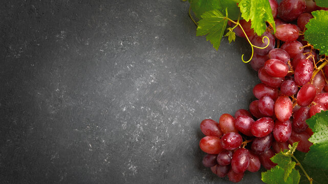 Gorgeous red grapes with green beautiful leaves on a gray board as an elegant background for everything to do with wine