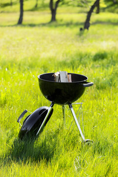 Metal brazier with firewood in forest