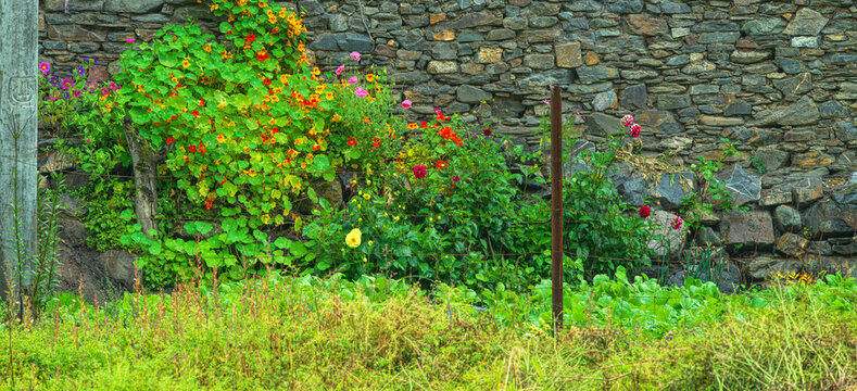 These are Tibetan-style houses photographed at the Siguniang Mountain Scenic Area in Aba Prefecture, Sichuan Province, China, on August 16, 2026. Shown here is a beautiful flower wall in front of the 