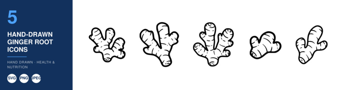 Hand-Drawn Ginger Root Icons, Health and Nutrition Illustration, Svg Design Elements, Food Ingredient Graphics
