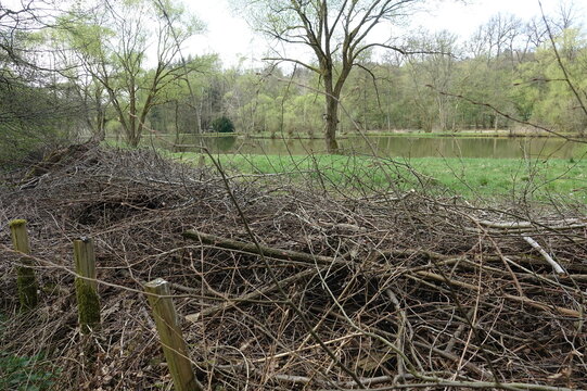 Benjes-Hecke an einem Teich bei Heftrich