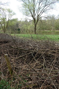 Benjes-Hecke an einem Teich bei Heftrich