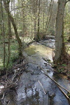 Dattenbach im Taunus