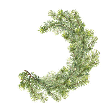 Hand-drawn illustration of a pine branch crescent wreath