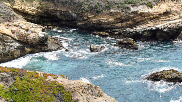 Rugged California coastal cove surrounded by weathered rock formations and low coastal vegetation as turquoise Pacific waters surge through the inlet. Breaking waves and exposed geological layers crea