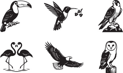 Fototapeta premium Bird Silhouettes Collection Vector Illustration for Wildlife Nature Design