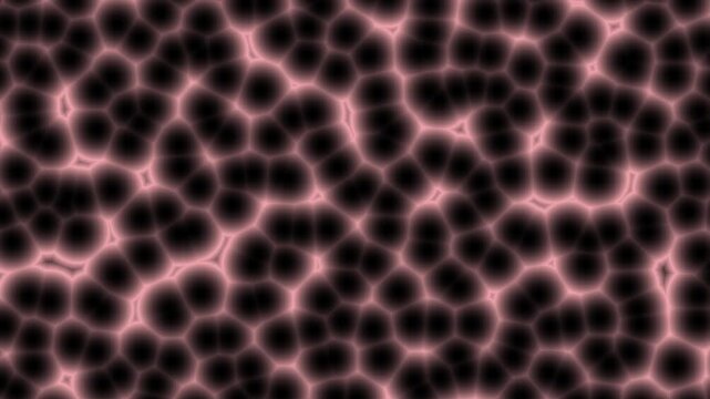 Pink microscopic cellular network animation on a black background.