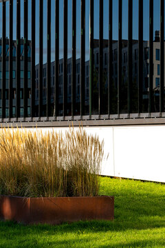 Contemporary urban landscaping in Oslo Norway combines ornamental grasses green lawn and modern facade elements in a clean architectural setting