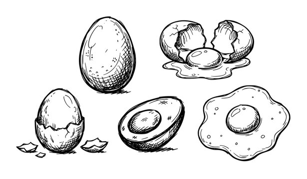 Egg Set Hand Drawn Raw Boiled and Fried Eggs Doodle Vector Illustration
