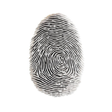 Detailed fingerprint impression, biometric identity pattern in black and white. For security, authentication and forensics isolated PNG with Transparent Background