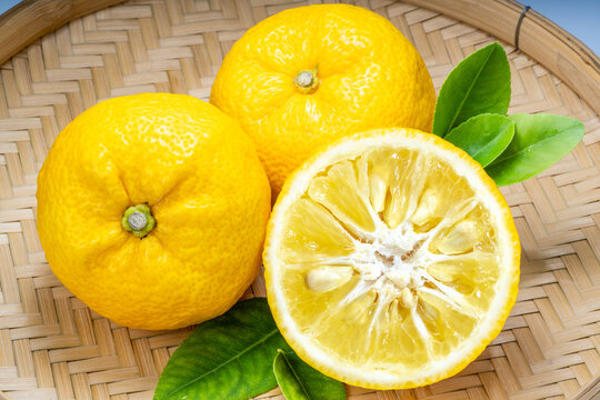 Fresh Sweet Yuzu Orange fruit in wooden basket over wooden background, Yuzu Orange fruit, Citron citrus on wooden background, gourmet food recipes, and product packaging design.