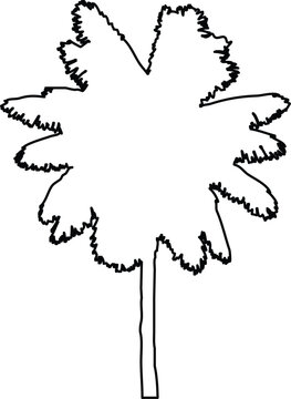 Handdrawn sketch of a palm tree silhouette with jagged leaf edges, simple black outline illustration
