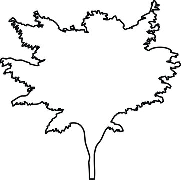 Hand drawn sketch of a japanese maple tree silhouette
