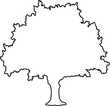 Hand drawn sketch of a deciduous oak tree silhouette
