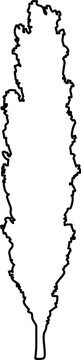Black and white outline silhouette of a tall narrow columnar tree