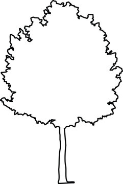 Black and white outline silhouette of a deciduous tree with a rounded canopy