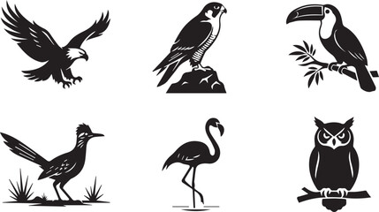 Fototapeta premium Set of Bird Silhouettes Wildlife Illustrations