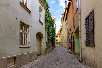 Obraz premium A narrow, cozy medieval cobblestone street lined with historic colorful houses and green ivy in the old town of Tallinn, Estonia.