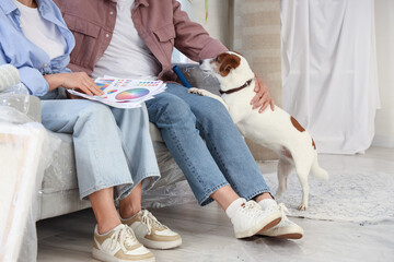 Fototapeta premium Mature couple with paint color palettes and dog sitting on sofa during repair in their new house