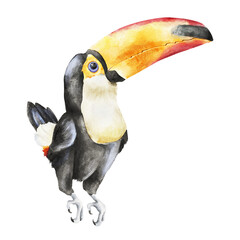 Hand-painted watercolor toucan with black plumage and a large yellow, orange and red beak in tropical style. Suitable for zoo branding, nursery decor, packaging, textile, poster and travel design. © Mea_ta 