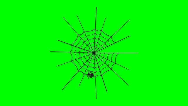 Flat vector spider web like the reference on solid chroma green background: irregular radial black spokes with long spikes and sagging concentric spiral threads, soft drop shadow copy of the whole web