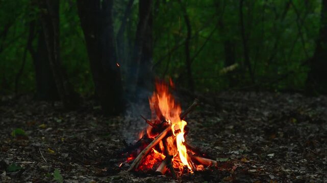 Campfire Burning in Dark Forest Seamless Loop with ASMR Sound. Seamless loop of a campfire burning brightly in a dark night forest with natural crackling fire audio for background relaxation and ASMR.
