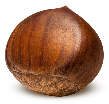 Freshly roasted chestnuts with cracked shells, isolated on a white background, with clipping path, Perfect visual for healthy snack marketing, gourmet food recipes.