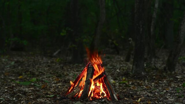 Campfire Burning in Dark Forest Seamless Loop with Sound. Endless loop of a campfire burning in a dark night forest with natural crackling fire audio for background relaxation and ASMR.