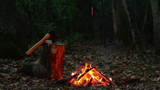 Campfire and Axe in Forest Seamless Loop with ASMR Sound. Seamless loop of a campfire burning next to a tree stump with an axe in a dark night forest with audio.