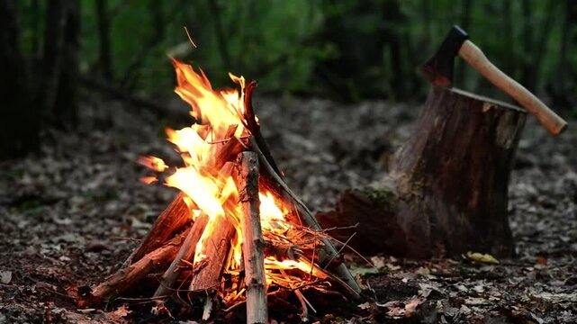 Campfire Burning Next to Stump with Axe in Dark Forest with Sound. A campfire burning brightly next to a tree stump with an axe in a dark night forest, featuring natural crackling fire audio for ASMR 