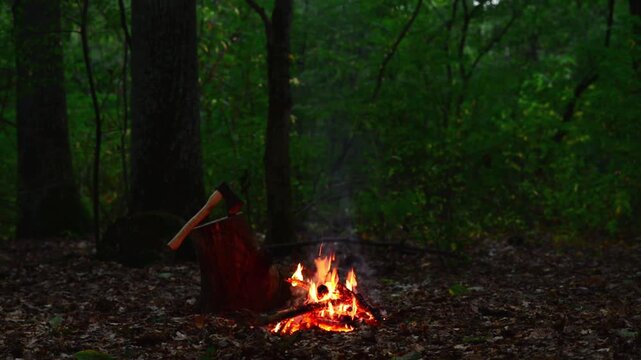 Small Campfire with Axe in Forest Seamless Loop with Sound. Seamless loop of a small campfire burning next to a tree stump with an axe in a dark night forest with audio.