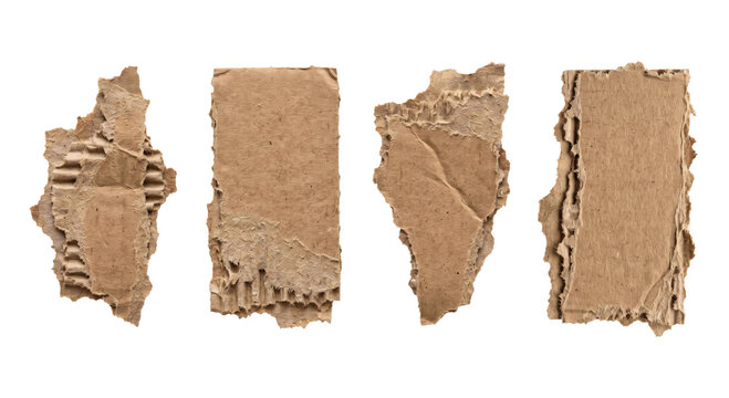 Four torn cardboard pieces with rough edges and visible corrugated layers