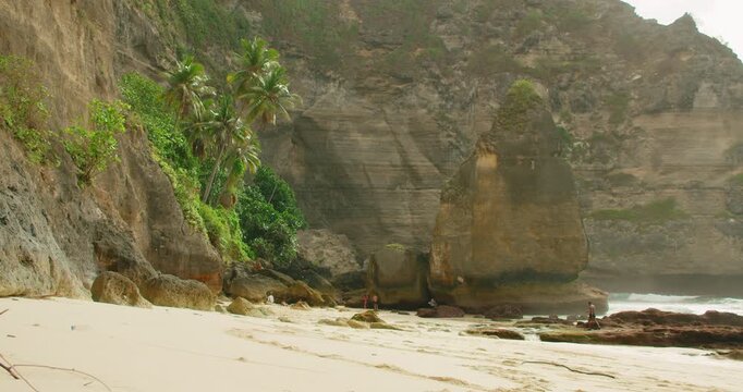 Palm trees grow along rugged cliff on sandy shore at Diamond Beach Nusa Penida Bali
