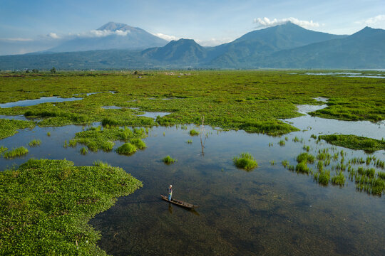 Aerial view of Kesongo wetland with a fisherman in a small wooden boat amidst lush aquatic vegetation and calm water, with mountains in the background in Tuntang, Central Java, Indonesia.